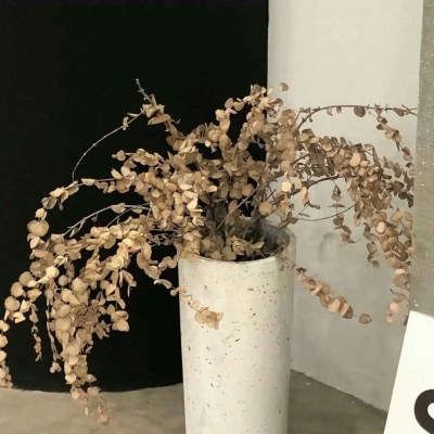 Furry插画元素设计福瑞交流群